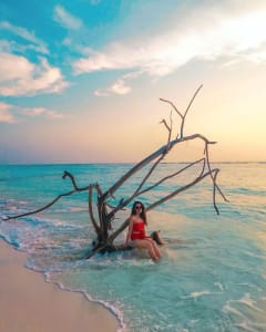 Top 10 Things To Do In Lakshadweep While Visiting Via Cruise! 1 lakshadweep